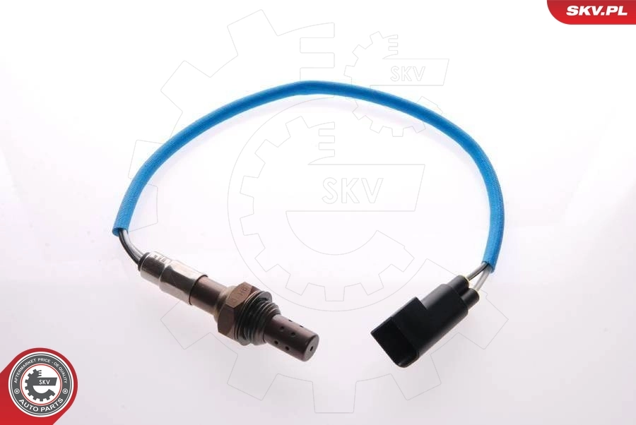 Oxygen Sensor